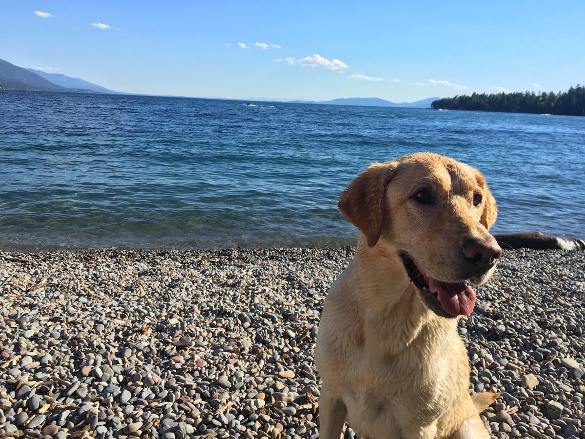 Flathead Lake Resort Woods Bay Luaran gambar